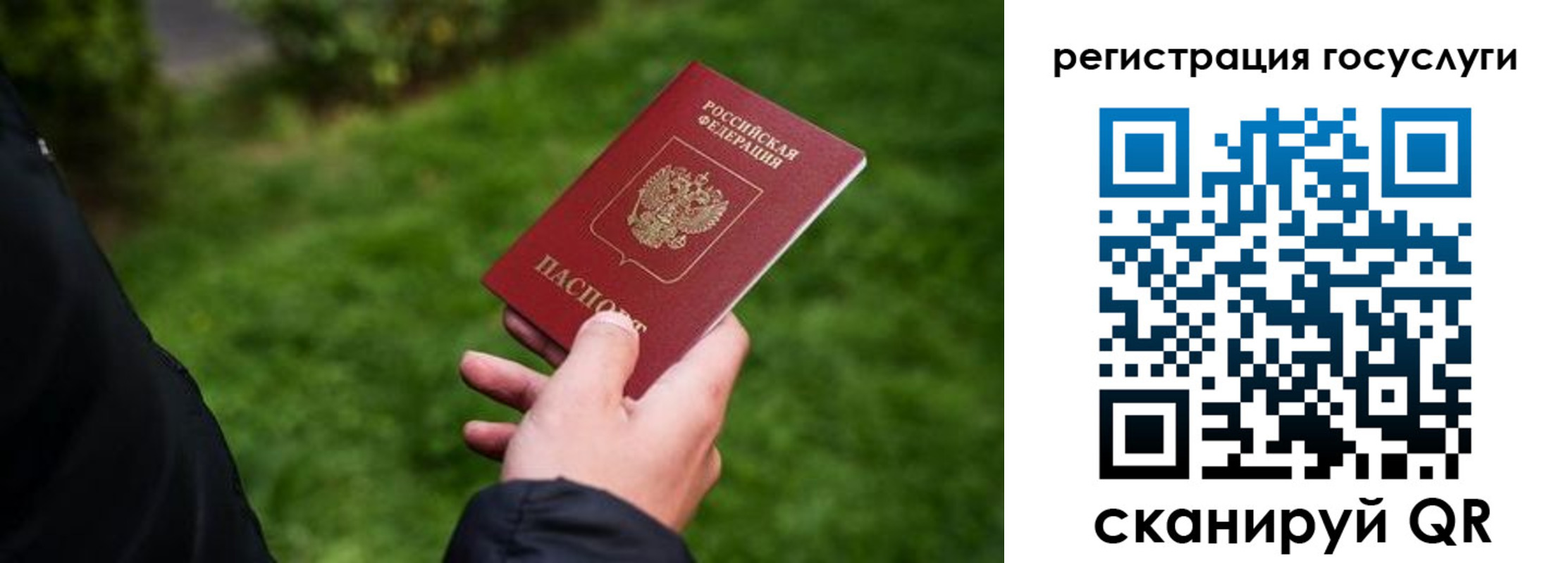 прописка в Балтийске